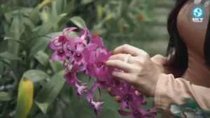 Tình Mưa Phương Bắc – Đạt Võ & Kim Ryna