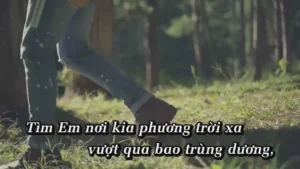 Xin Đừng Hỏi Tại Sao 2020 – Đinh Ứng Phi Trường
