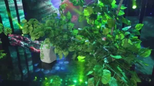 Ai Nói Với Em – Phương Ý