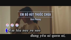 Em Bỏ Hút Thuốc Chưa – Bích Phương