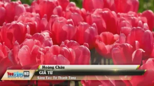 Giã Từ – Hoàng Châu