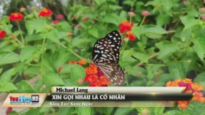 Xin Gọi Nhau Là Cố Nhân – Michael Lang