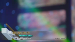 Đau Tình Anh Em – Thái Minh Châu