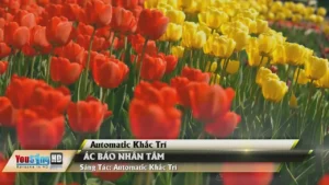 Ác Báo Nhân Tâm – Automatic Khắc Trí