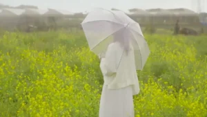 Hạ Xa – Pittu Quyên