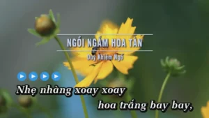 Ngồi Ngắm Hoa Tàn – Duy Khiêm Ngố
