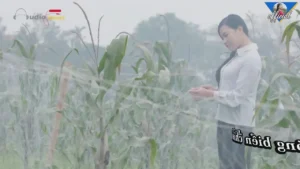 Em Yêu Anh Như Câu Hò Ví Dặm – Bùi Thị Thúy
