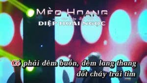 Mèo Hoang (Remix) – Diệp Hoài Ngọc