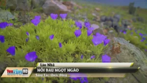 Nỗi Đau Ngọt Ngào – Lân Nhã