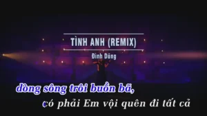 Tình Anh (Remix) – Đình Dũng