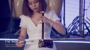 Vui Buồn Qua Khúc Nhạc – Vũ Hoàng
