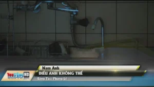 Điều Anh Không Thể – Nam Anh