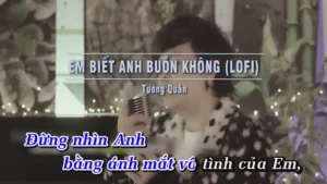 Em Biết Anh Buồn Không (Lofi) – Tường Quân