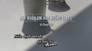 Anh Buồn Em Hay Không (Lofi) – Võ Dang Tài