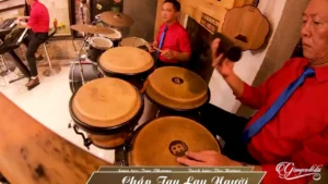 Chắp Tay Lạy Người – Thu Hường