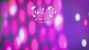 Liên Khúc Tình Thơ – Quân Nguyễn