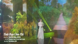 Tình Đẹp Làm Chi – Lưu Ánh Loan & Trường Sơn