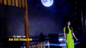 Anh Biết Không Anh – Tina Ngọc Lan