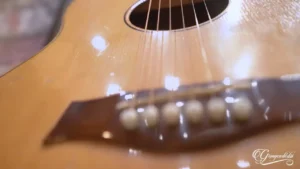 Chuyện Đời Tôi – Thu Hường