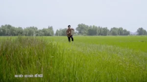 Ngại Gì – Bằng Chương & Hồ Phương Liên