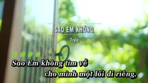 Sao Em Không – Tryle