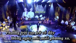 Bông Hồng Không Dành Cho Con – Vũ Hoàng