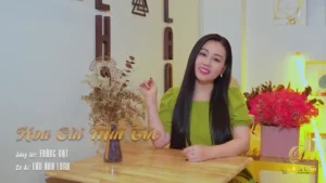 Hoa Cài Mái Tóc – Lưu Ánh Loan