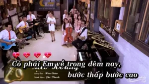 Mèo Hoang – Phi Thanh