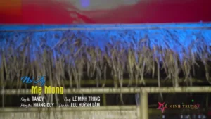 Nơi Ấy Mẹ Mong – Lê Minh Trung