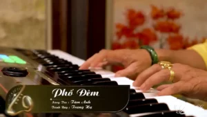 Phố Đêm – Trang Hạ