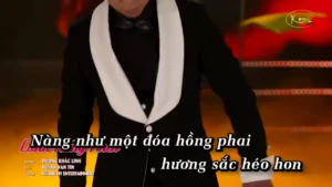 Cánh Hồng Phai – Huỳnh Tín