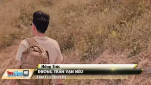 Đường Trần Vạn Nẻo – Hồng Trúc