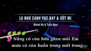Liên Khúc Như Cánh Vạc Bay & Ướt Mi – Khánh Hà & Tuấn Ngọc