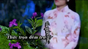Nếu Mình Gặp Nhau – Trang Hạ
