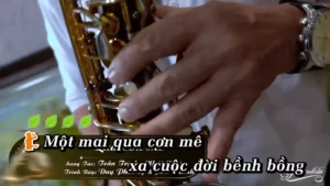 Qua Cơn Mê – Duy Phương & Phi Thanh