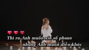 Tiêu Chuẩn Kép – Luna Đào