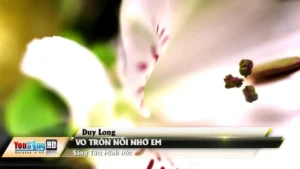 Vo Tròn Nỗi Nhớ Em – Duy Long