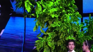 Xin Đừng Trách Đa Đa – Thanh Thư