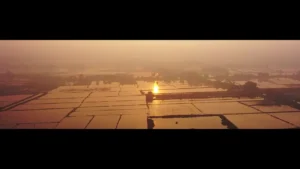 Xót Lục Bình Trôi – Chấn Minh