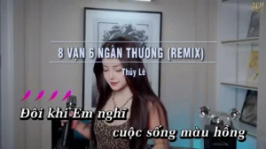 8 Vạn 6 Ngàn Thương (Remix) – Thủy Lê