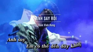 Anh Say Rồi – Đàm Vĩnh Hưng