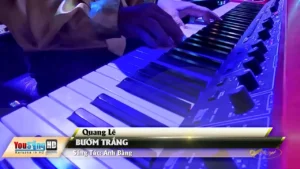 Bướm Trắng – Quang Lê