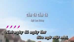 Cảm Ơn Cảm Ơn – Ngô Lan Hương