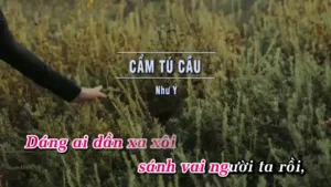 Cẩm Tú Cầu – Như Ý