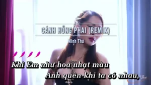 Cánh Hồng Phai (Remix) – Minh Thư