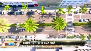 Chiều Một Mình Qua Phố – Nguyên Khang