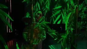 Chung Mộng – Phan Ý Linh