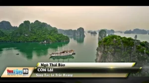 Còn Lại – Ngô Thái Bảo