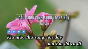 Dấu Chôn Tình Buồn (Tone Nữ) – Hoài Lâm