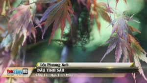 Dấu Tình Sầu – Lều Phương Anh
